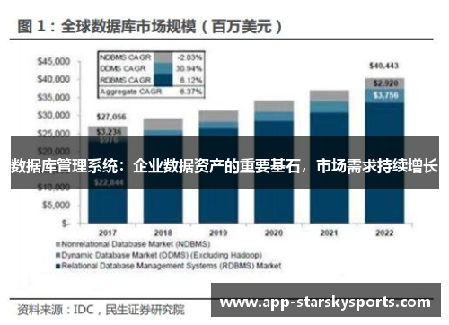 数据库管理系统：企业数据资产的重要基石，市场需求持续增长